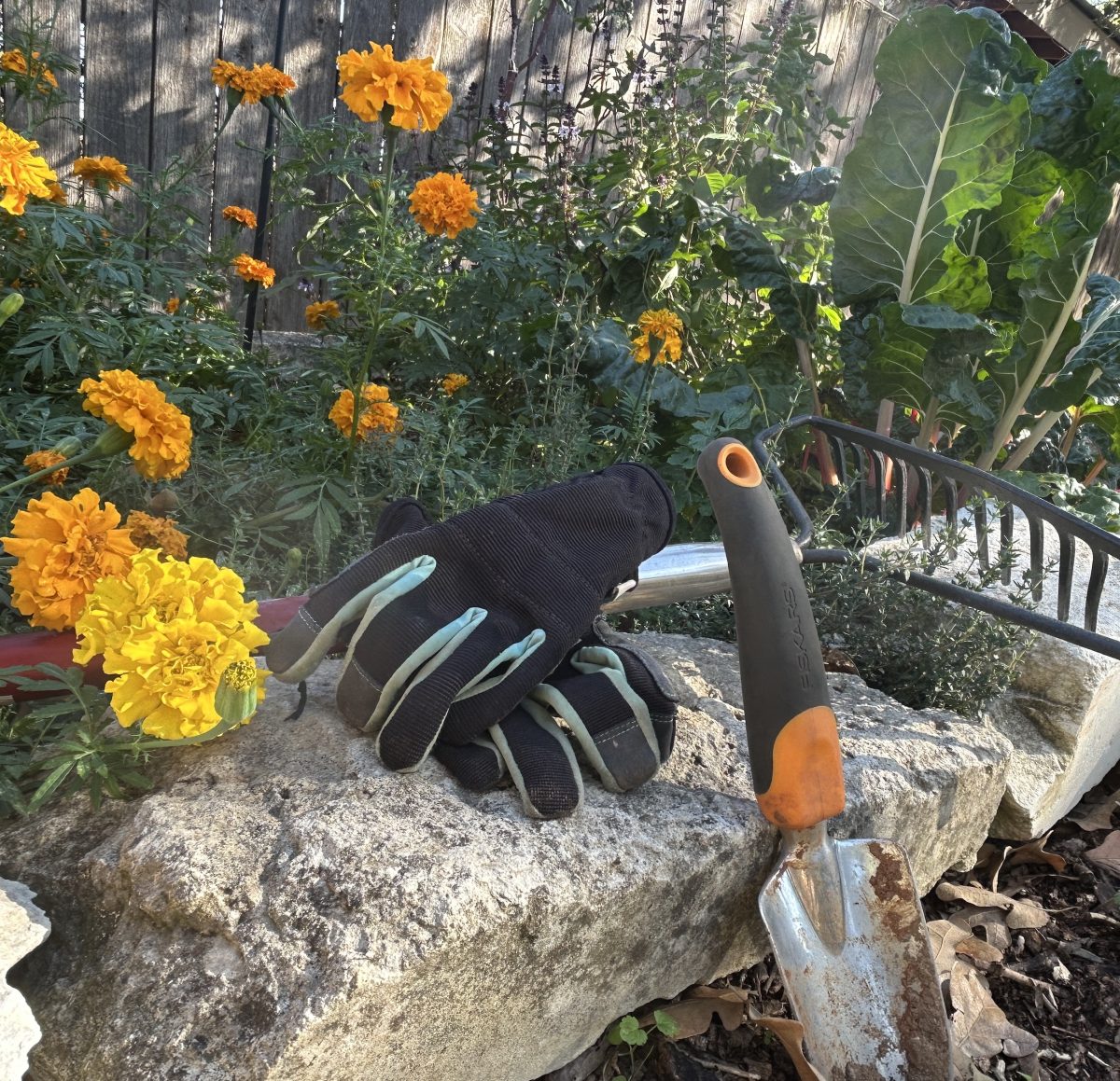 Garden tools with flowers and vegetables in a raised bed garden