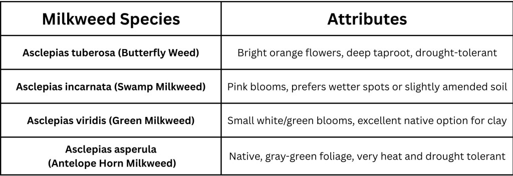 Table showing milkweed species and their attributes and benefits