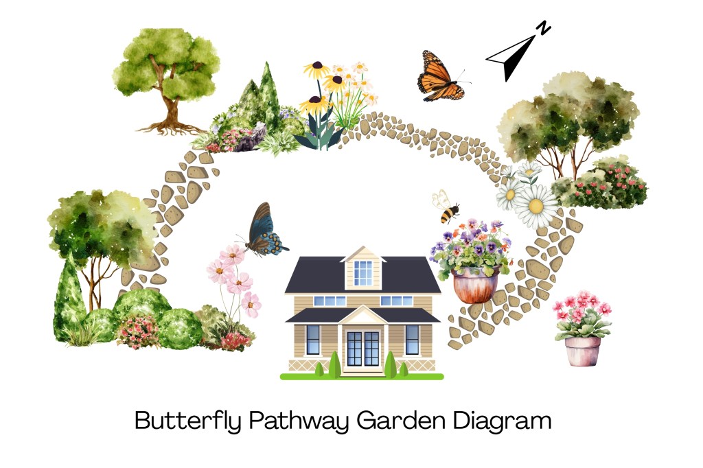 Butterfly pathway garden illustrated diagram with layout example