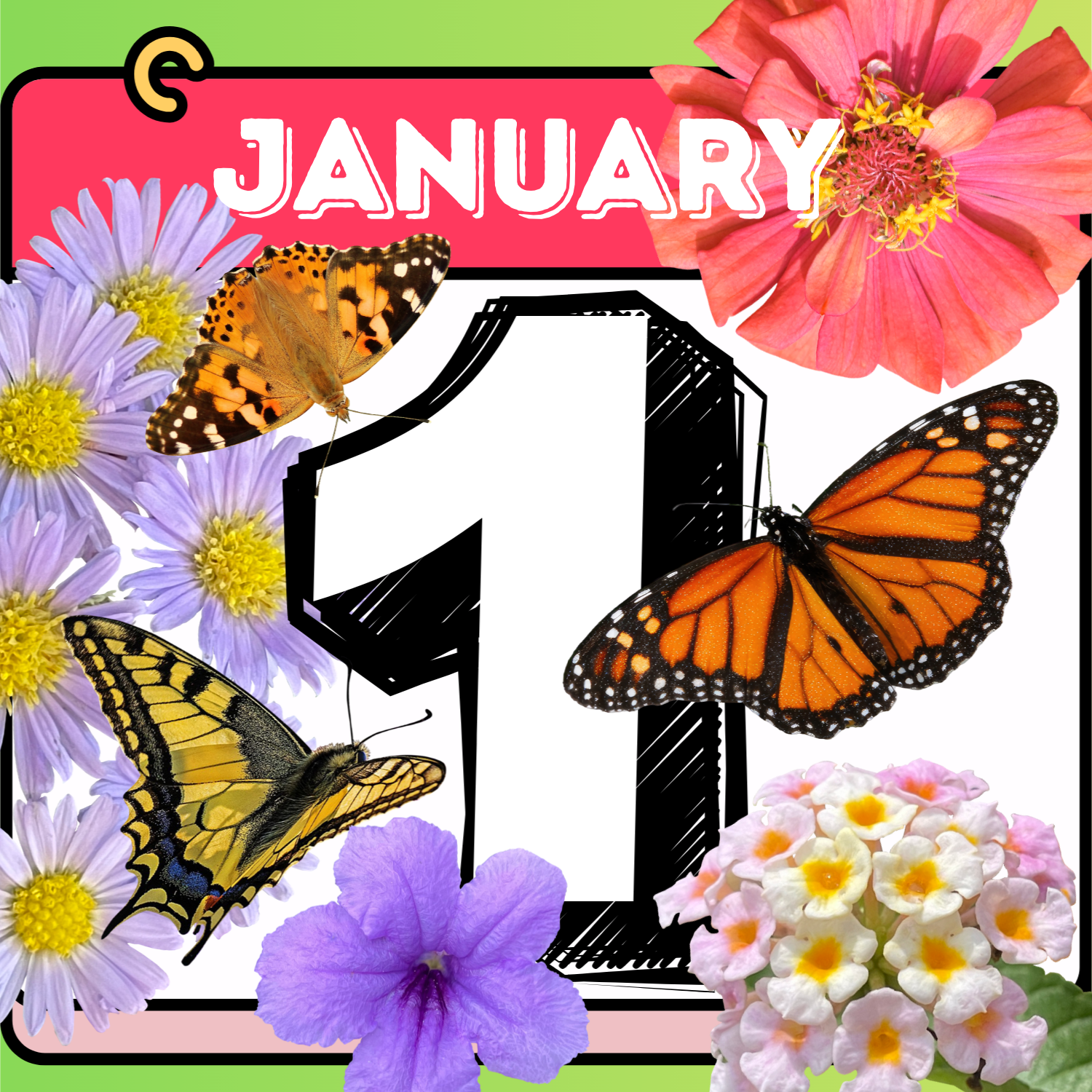 Flip calendar with butterflies and flowers