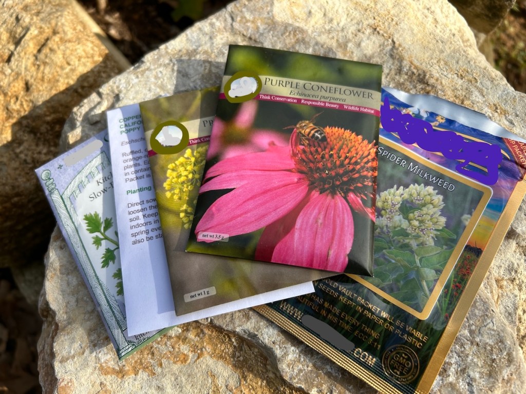 Slow-bolt cilantro, California Poppy, Prairie Parsley, Purple Coneflower and Green Milkweed (Asclepias viridis) seed packets