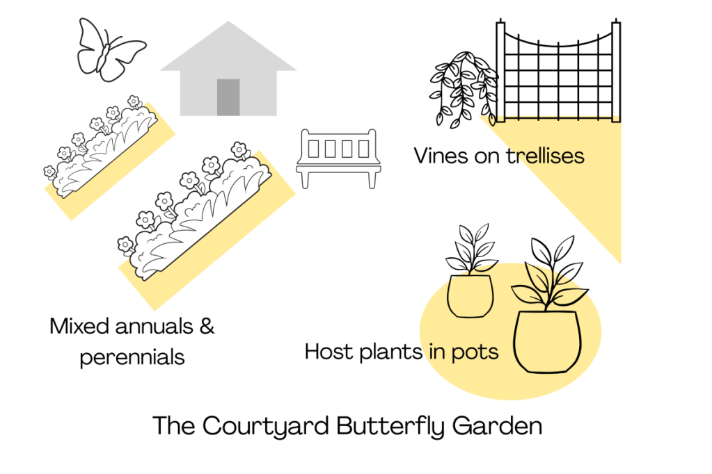 Garden layout diagram for the courtyard butterfly garden